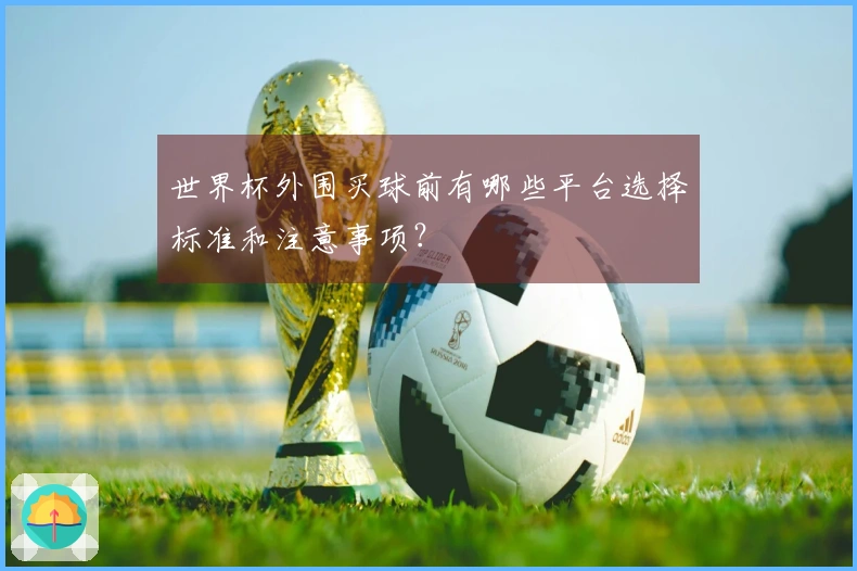 世界杯外围买球前有哪些平台选择标准和注意事项？