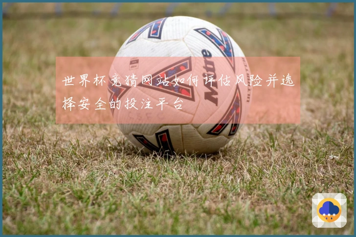 世界杯竞猜网站如何评估风险并选择安全的投注平台
