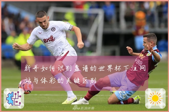 新手如何识别靠谱的世界杯下注网站与体彩的关键区别