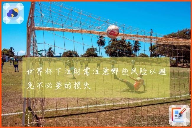世界杯下注时需注意哪些风险以避免不必要的损失