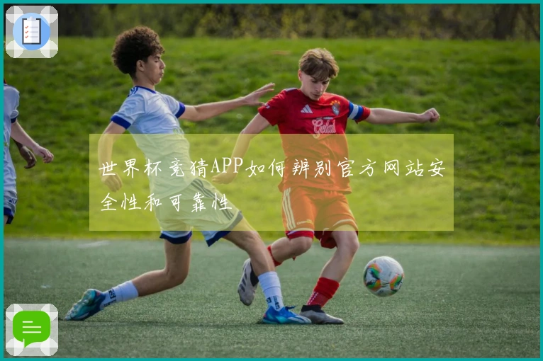 世界杯竞猜APP如何辨别官方网站安全性和可靠性