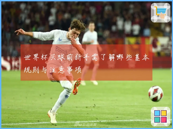 世界杯买球前新手需了解哪些基本规则与注意事项