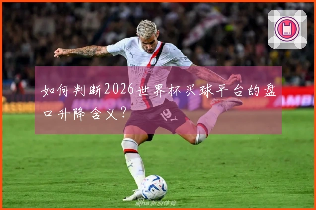 如何判断2026世界杯买球平台的盘口升降含义？