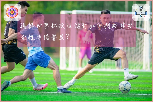 选择世界杯投注站时如何判断其安全性与信誉度？