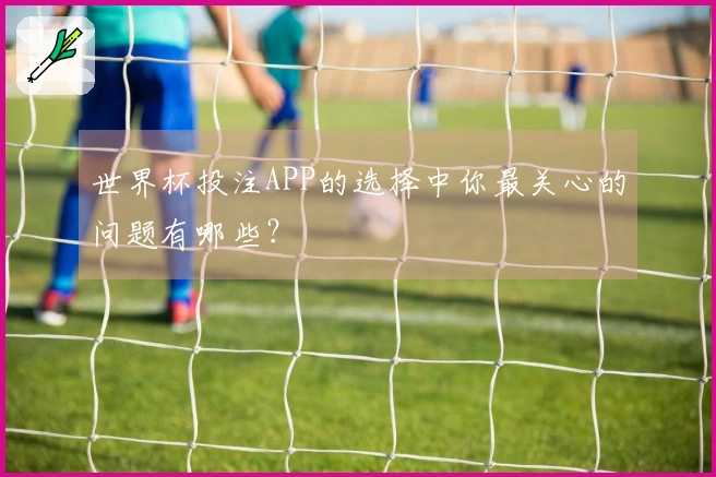 世界杯投注APP的选择中你最关心的问题有哪些？