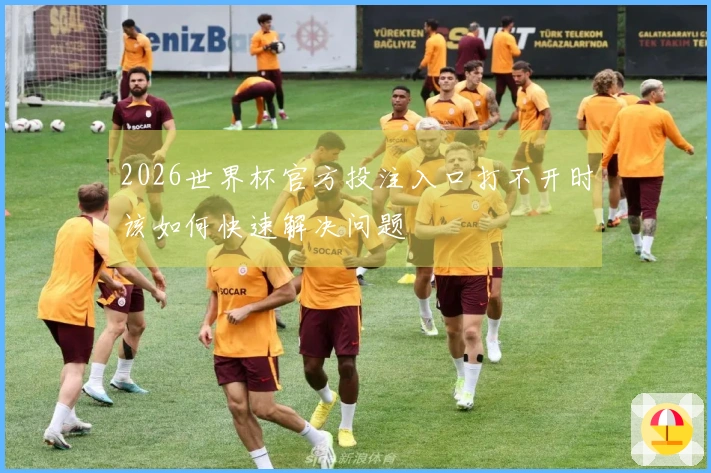 2026世界杯官方投注入口打不开时该如何快速解决问题