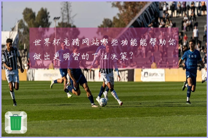 世界杯竞猜网站哪些功能能帮助你做出更明智的下注决策？