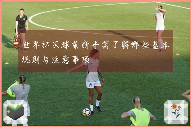 世界杯买球前新手需了解哪些基本规则与注意事项