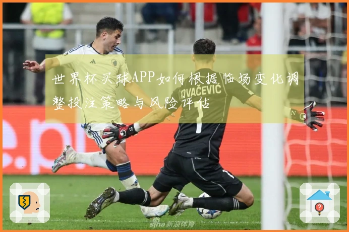 世界杯买球APP如何根据临场变化调整投注策略与风险评估