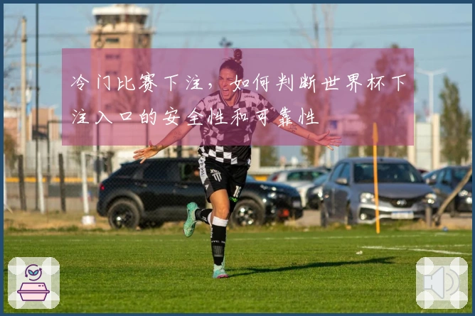 冷门比赛下注，如何判断世界杯下注入口的安全性和可靠性