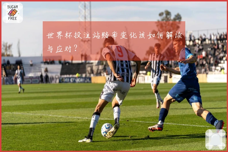 世界杯投注站赔率变化该如何解读与应对？