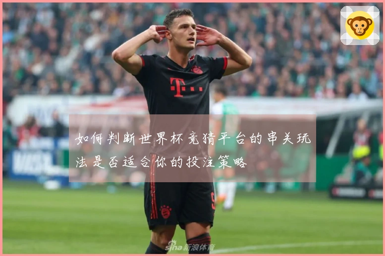 如何判断世界杯竞猜平台的串关玩法是否适合你的投注策略