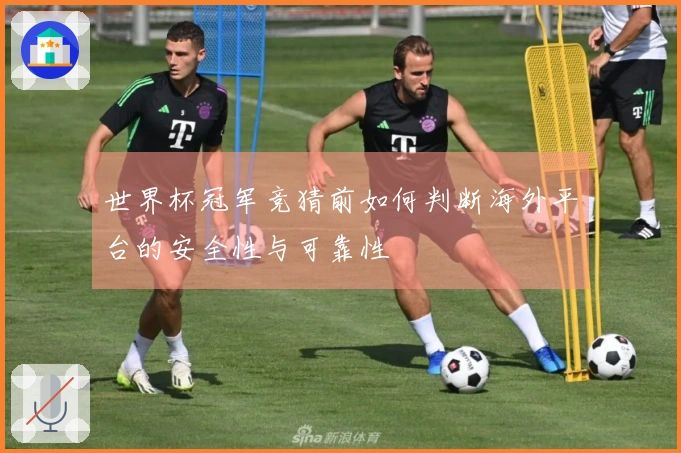 世界杯冠军竞猜前如何判断海外平台的安全性与可靠性