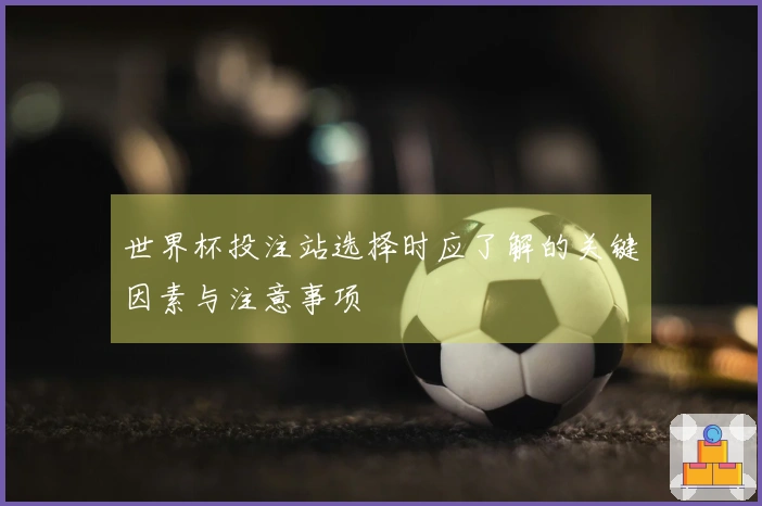世界杯投注站选择时应了解的关键因素与注意事项