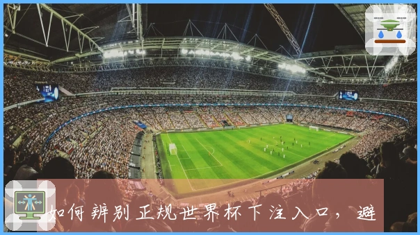 如何辨别正规世界杯下注入口，避免盲目追热门平台的风险
