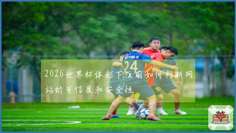 2026世界杯体彩下注前如何判断网站的可信度和安全性