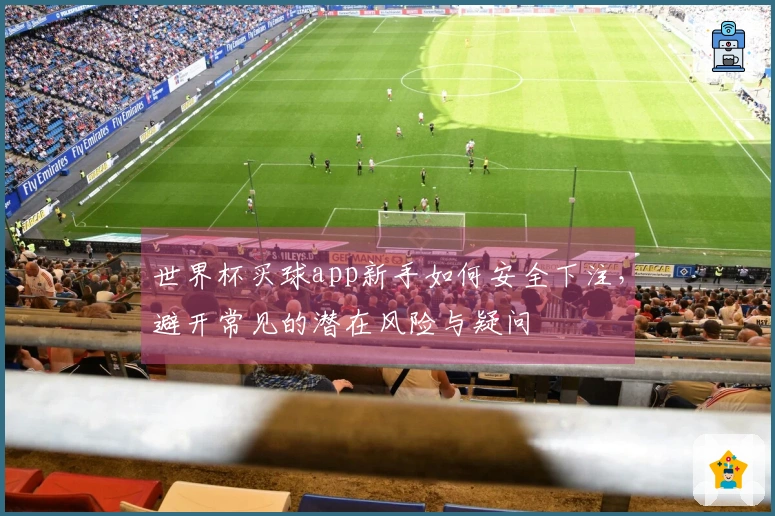 世界杯买球app新手如何安全下注，避开常见的潜在风险与疑问