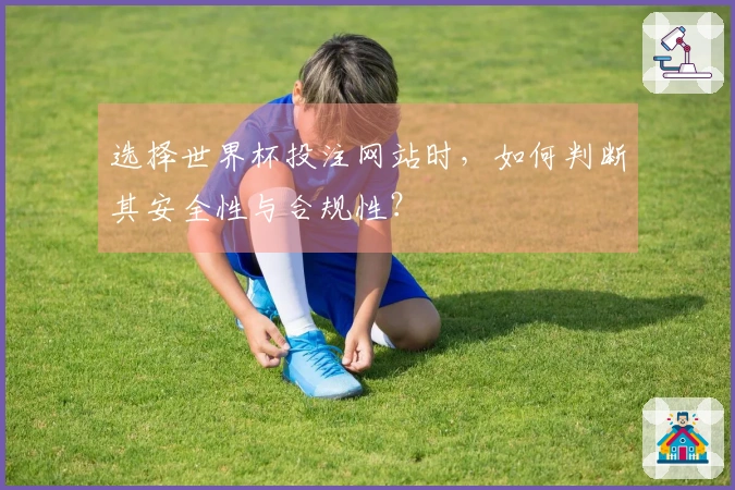 选择世界杯投注网站时，如何判断其安全性与合规性？