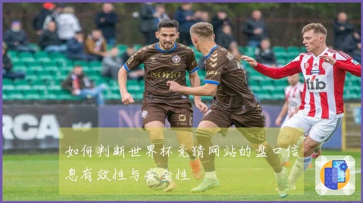 如何判断世界杯竞猜网站的盘口信息有效性与安全性