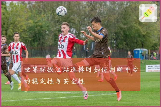 世界杯投注站选择时如何判断平台的稳定性与安全性