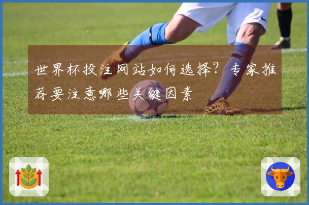 世界杯投注网站如何选择？专家推荐要注意哪些关键因素