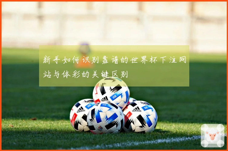 新手如何识别靠谱的世界杯下注网站与体彩的关键区别