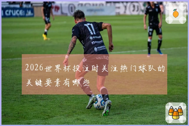 2026世界杯投注时关注热门球队的关键要素有哪些