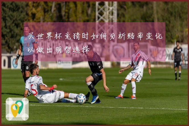 买世界杯竞猜时如何分析赔率变化以做出明智选择