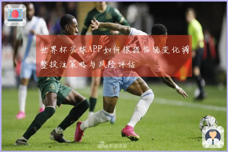 世界杯买球APP如何根据临场变化调整投注策略与风险评估