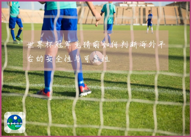 世界杯冠军竞猜前如何判断海外平台的安全性与可靠性