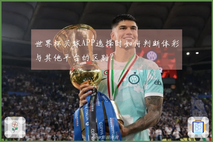 世界杯买球APP选择时如何判断体彩与其他平台的区别？