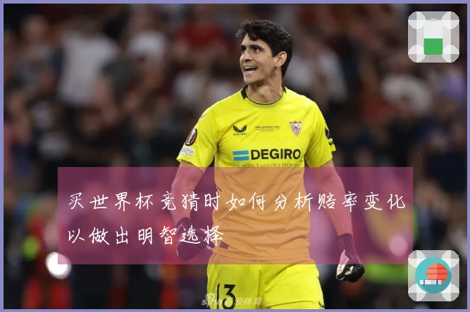 买世界杯竞猜时如何分析赔率变化以做出明智选择