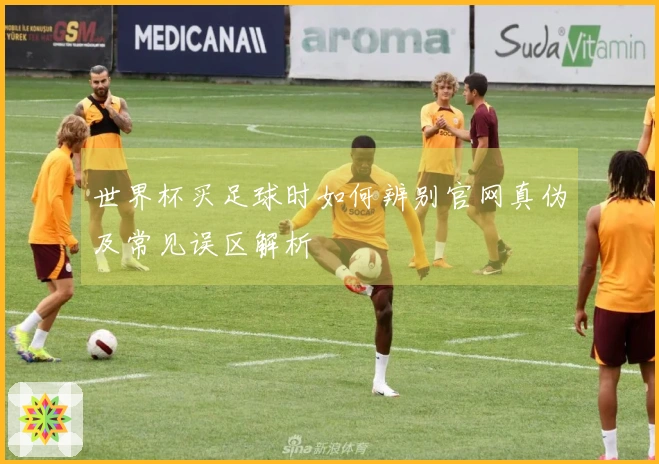 世界杯买足球时如何辨别官网真伪及常见误区解析